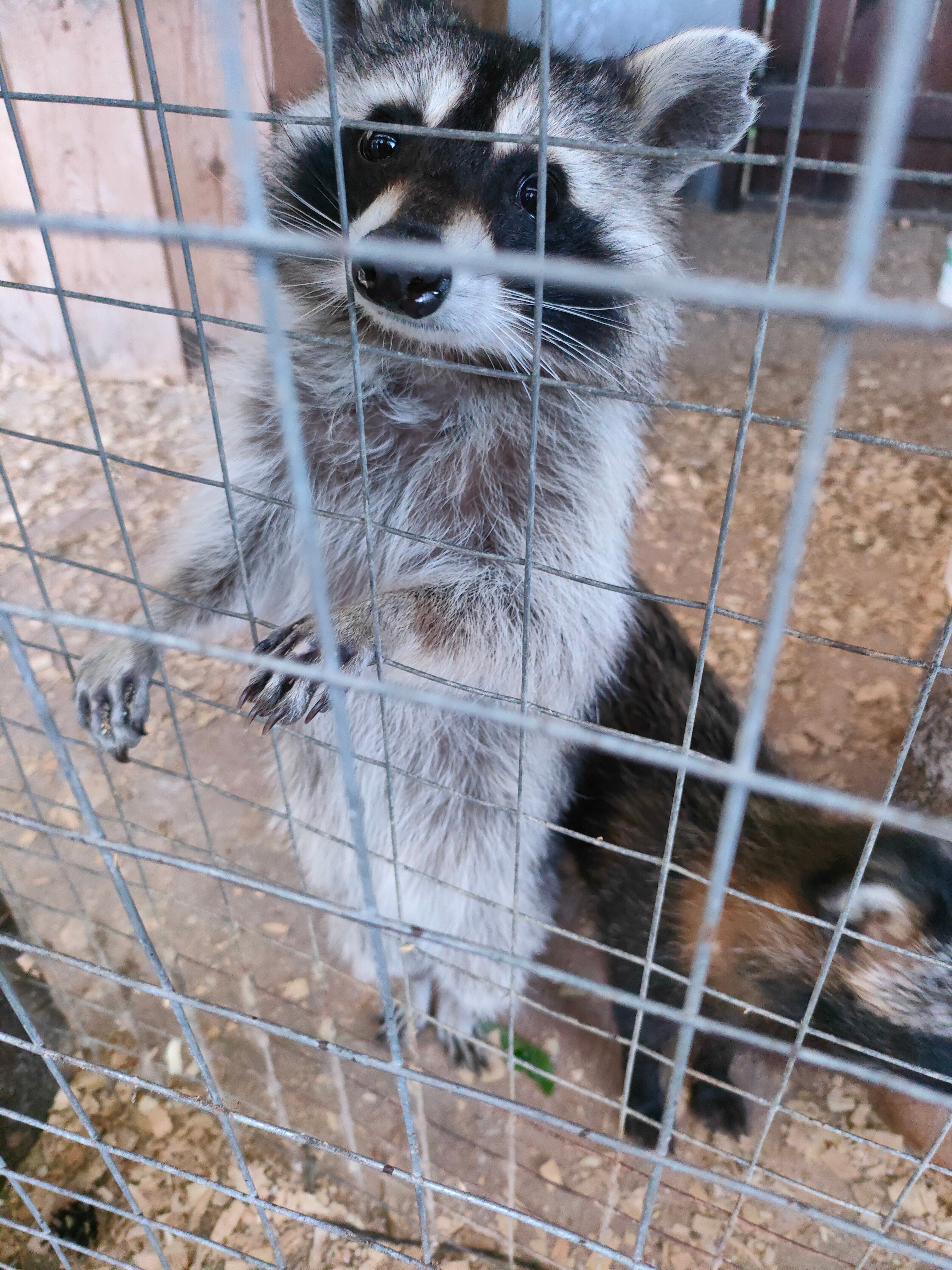 Фото Оленьи пруды