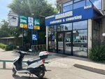 Buzz Rental (Toktogul Street, 201), bike rental
