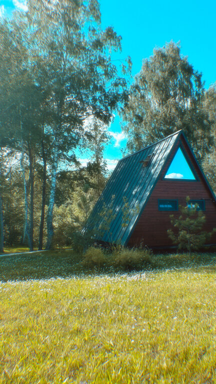 Фото Ильинка лес