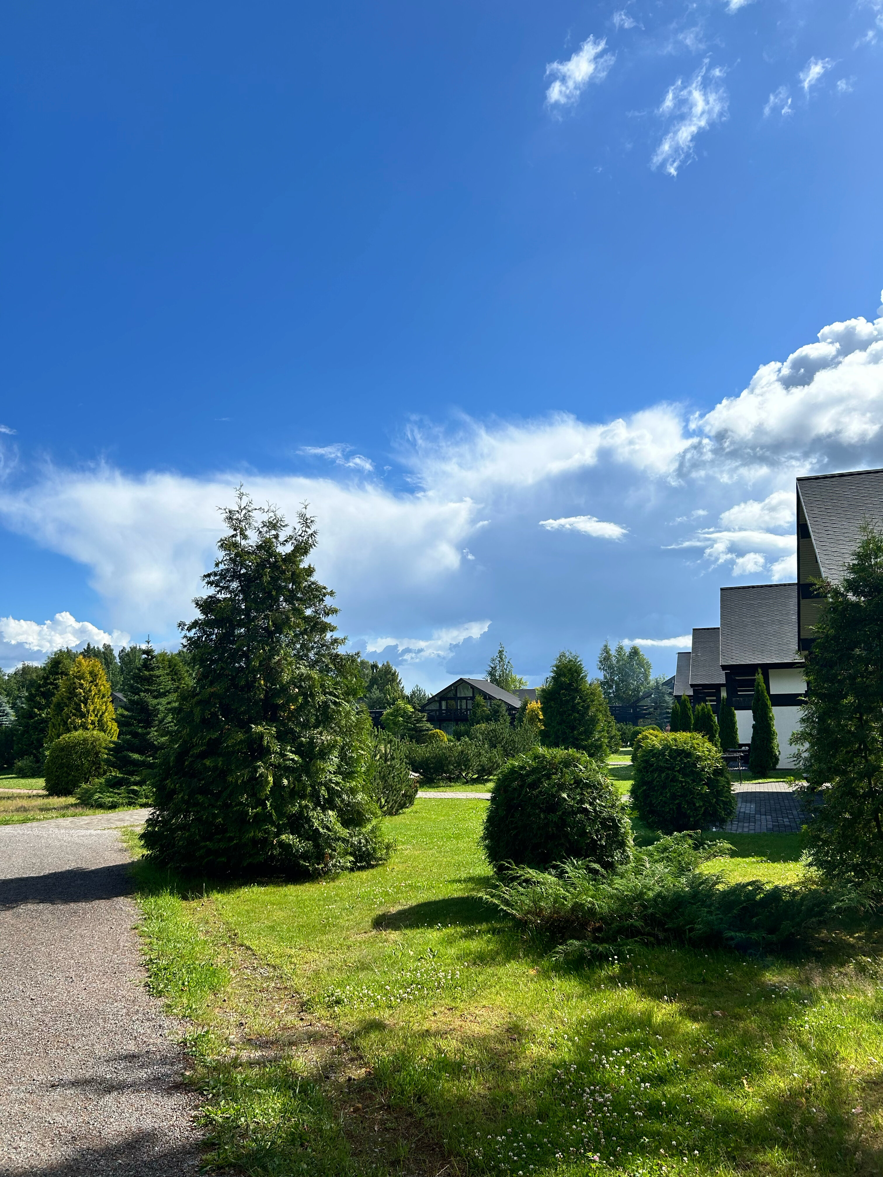 Фото Давинчи Парк