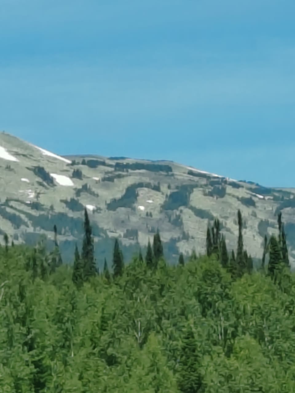 Фото ГрюнХоф