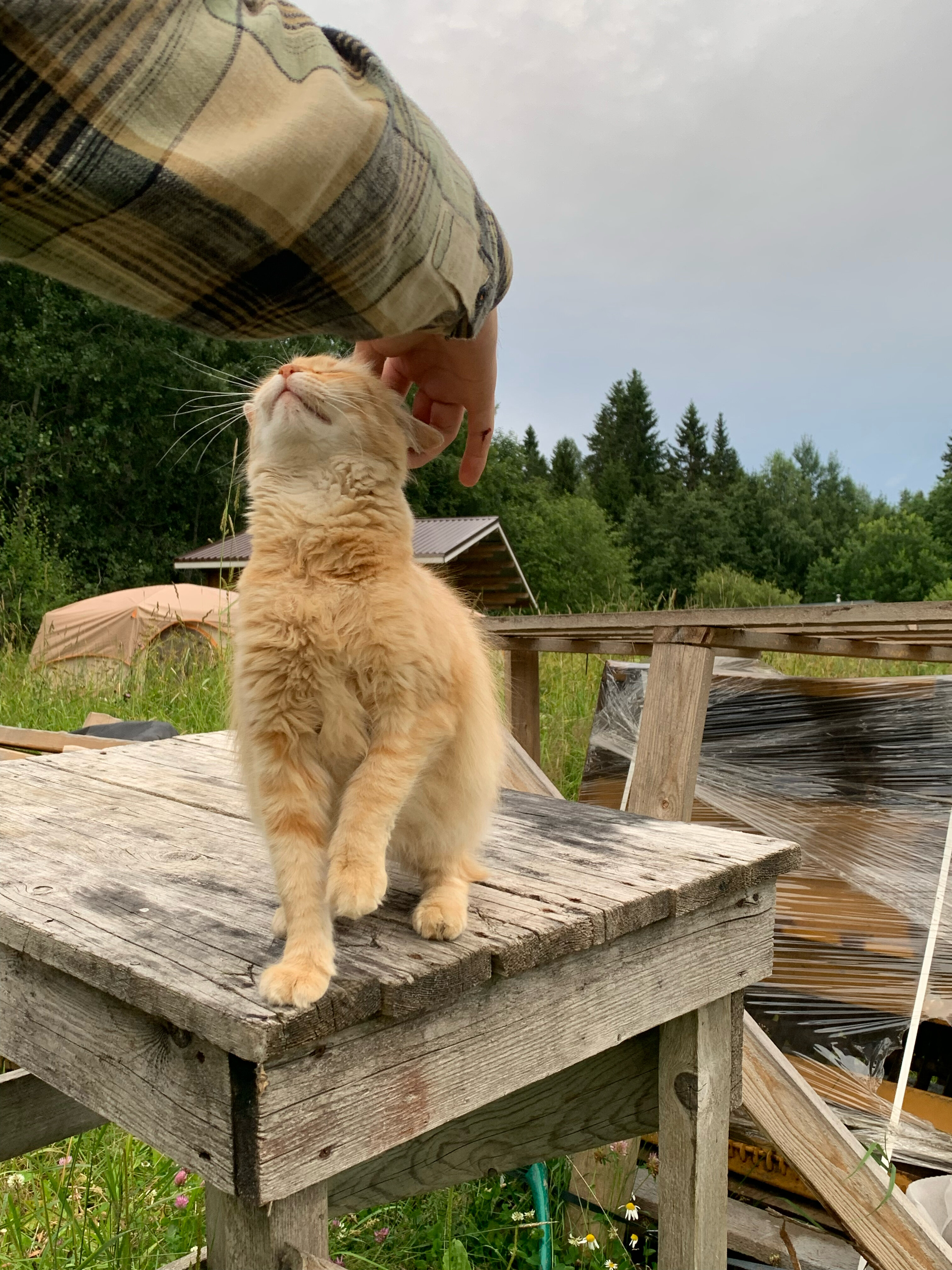 Фото Финский Хутор