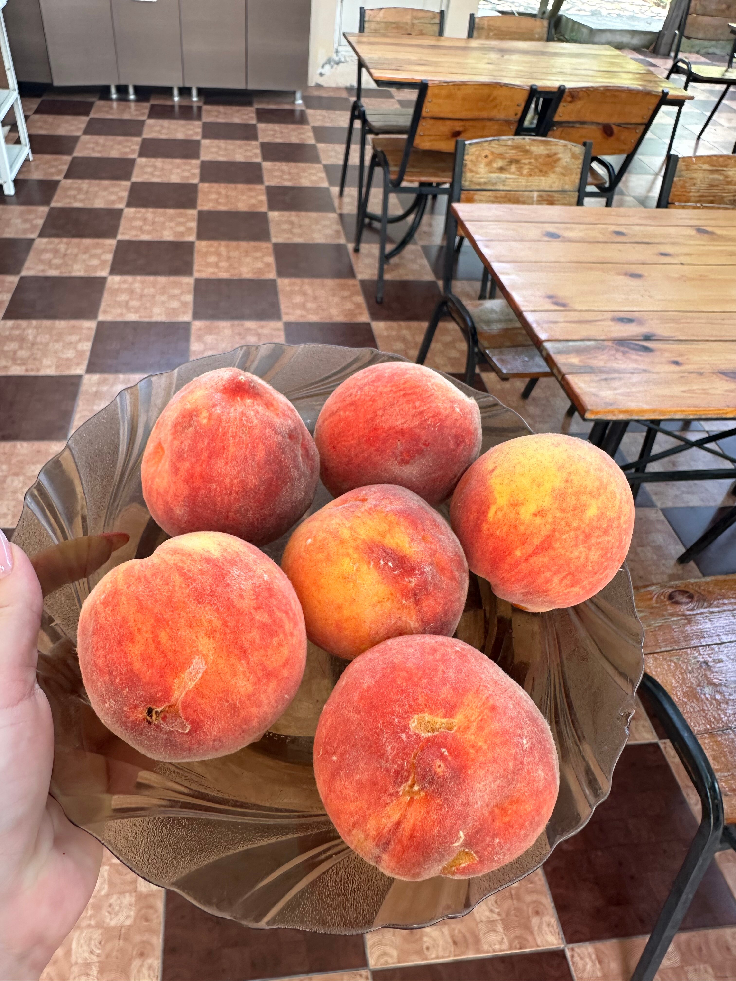 Фото 237534356219