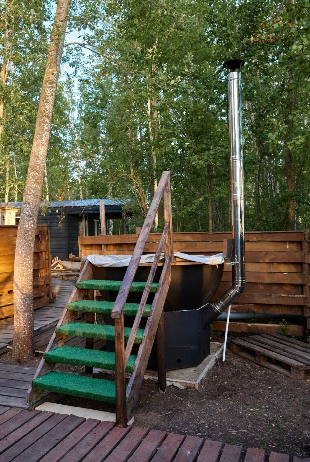 Фото Облепиха