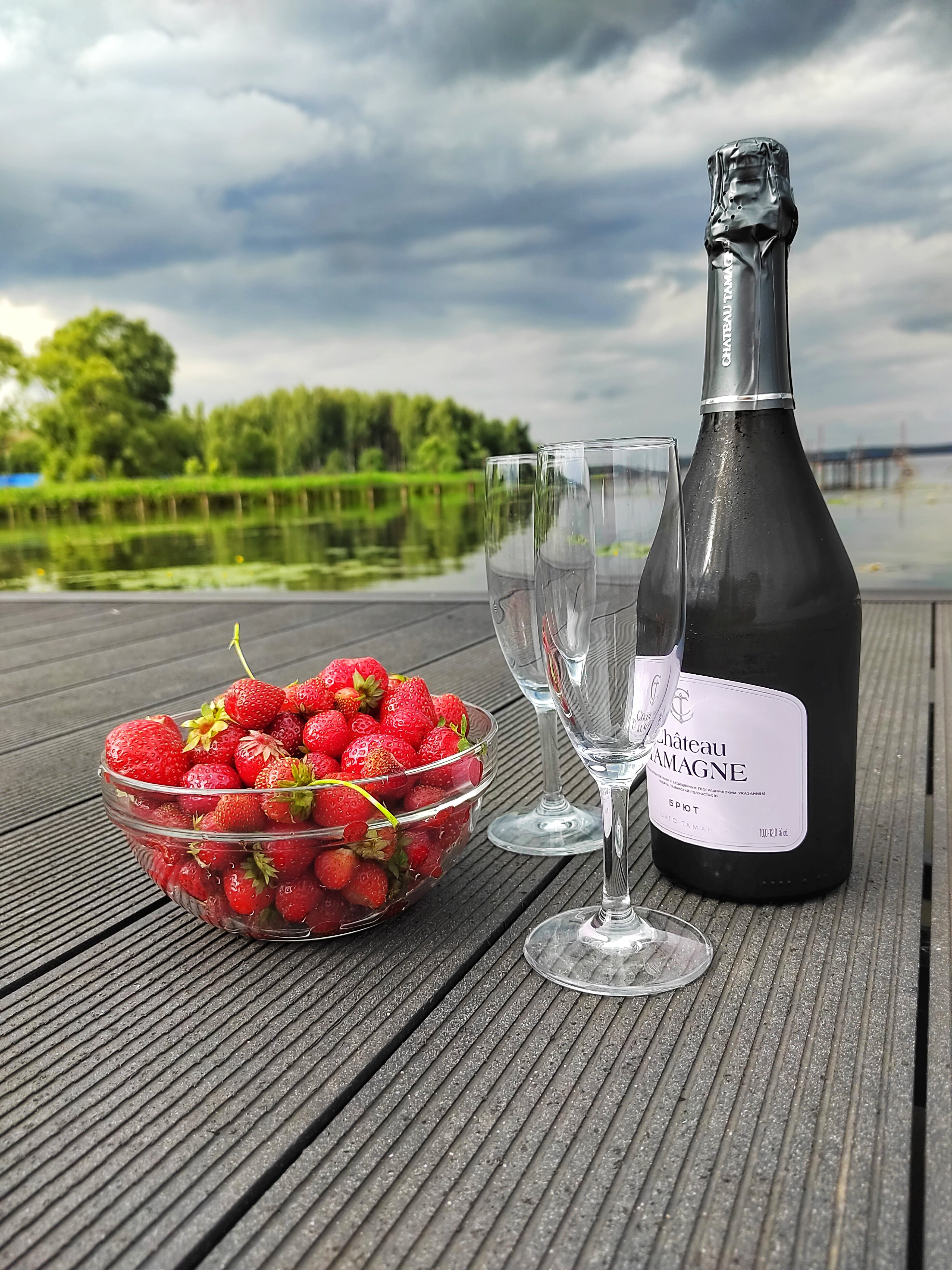 Фото Ёлки зелёные