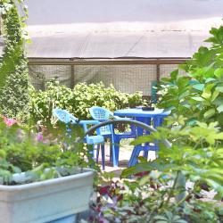 Фото Черномор