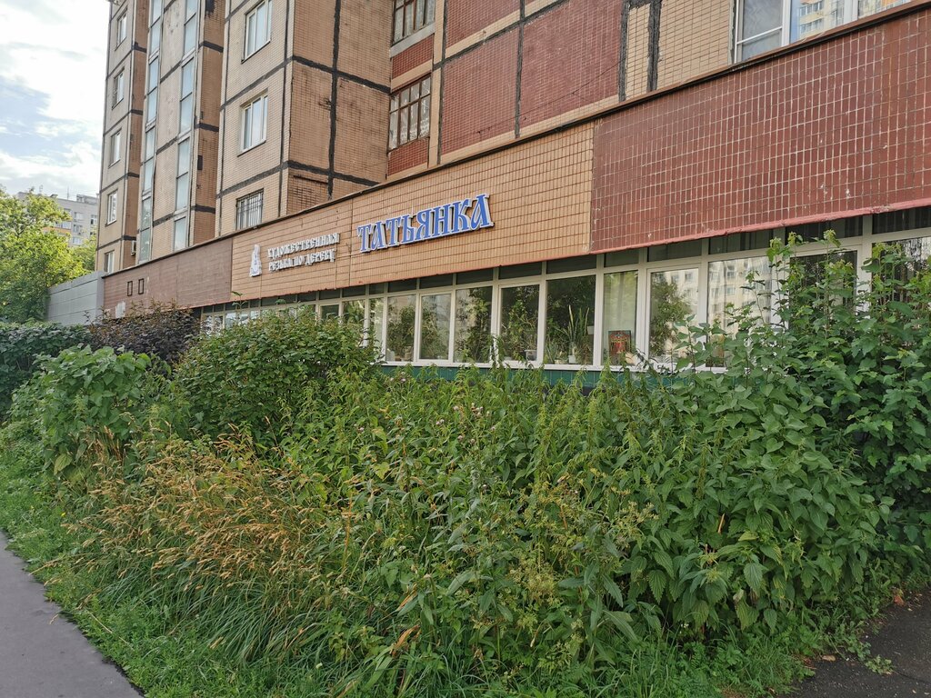 دورات ودروس الماجستير Mezhdunarodny avtorsky tsentr Tatyanka ، موسكو، صورة