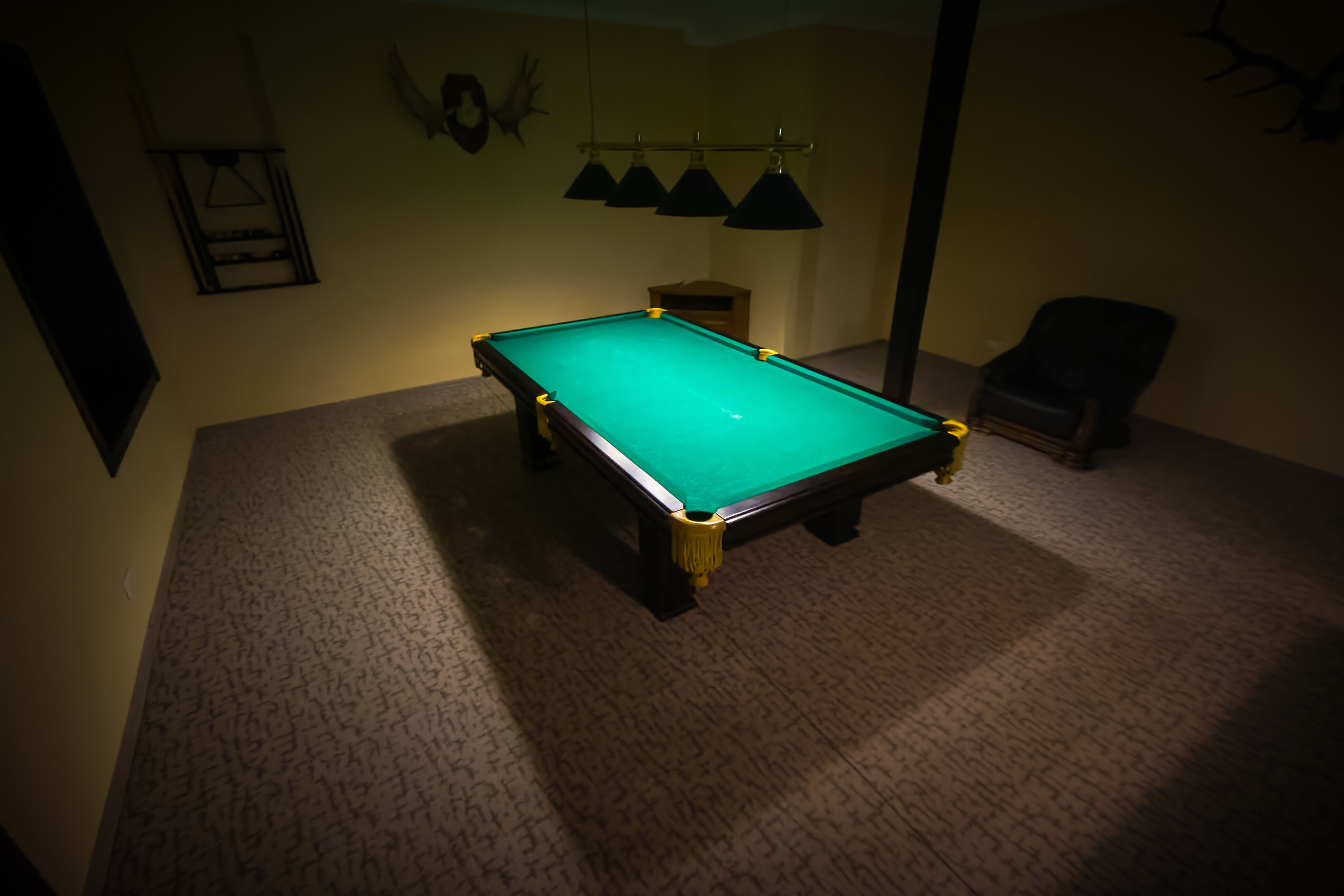 Фото Лосиный двор