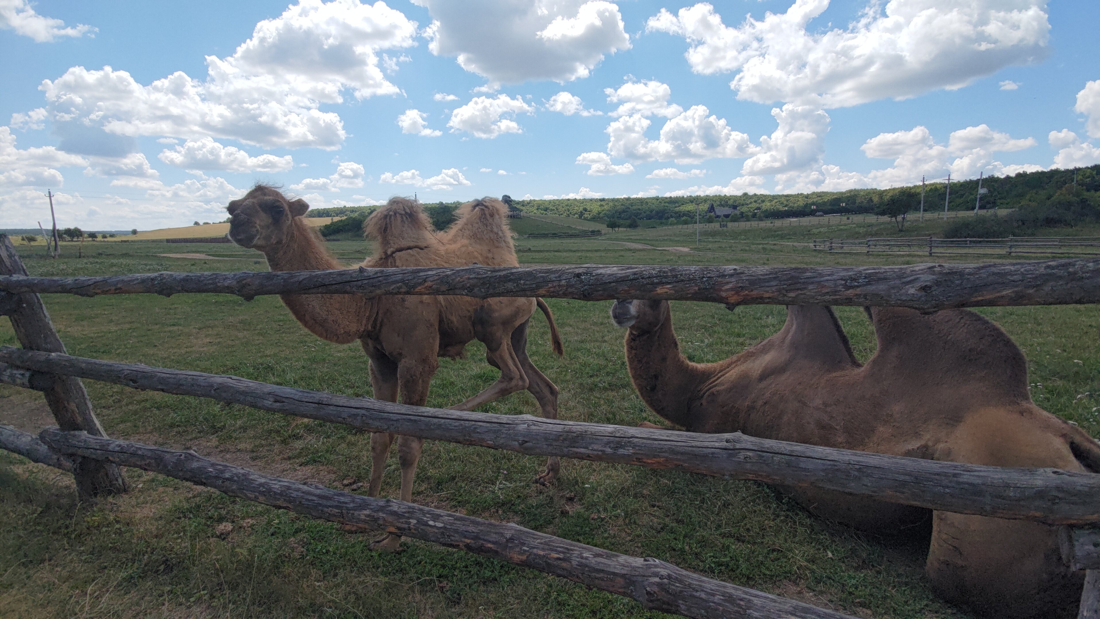 Фото Вершина отдыха