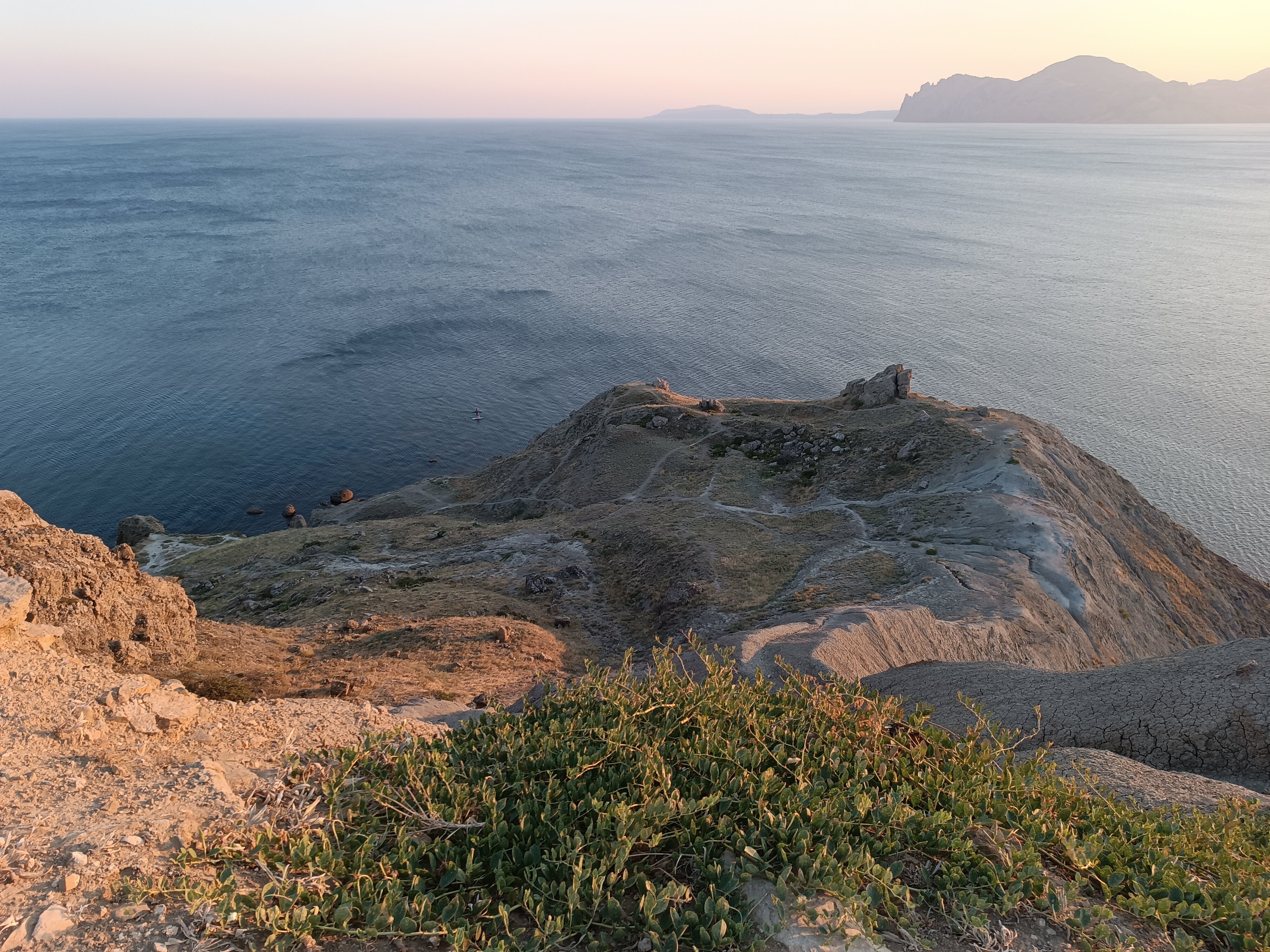 Фото Белый лебедь