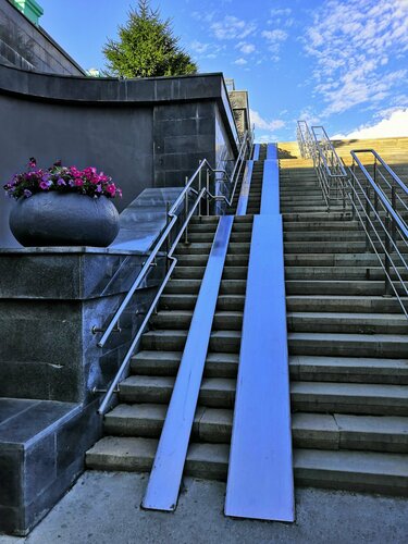 Әйелдер юбкасының астына қарау бейнелері