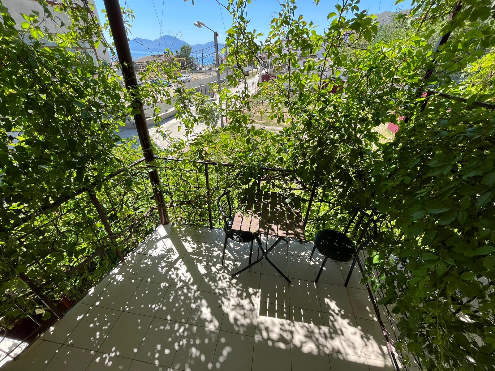 Фото Магнолия