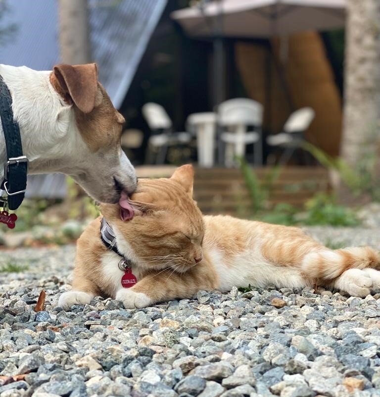 Фото Архыз-Глэмп