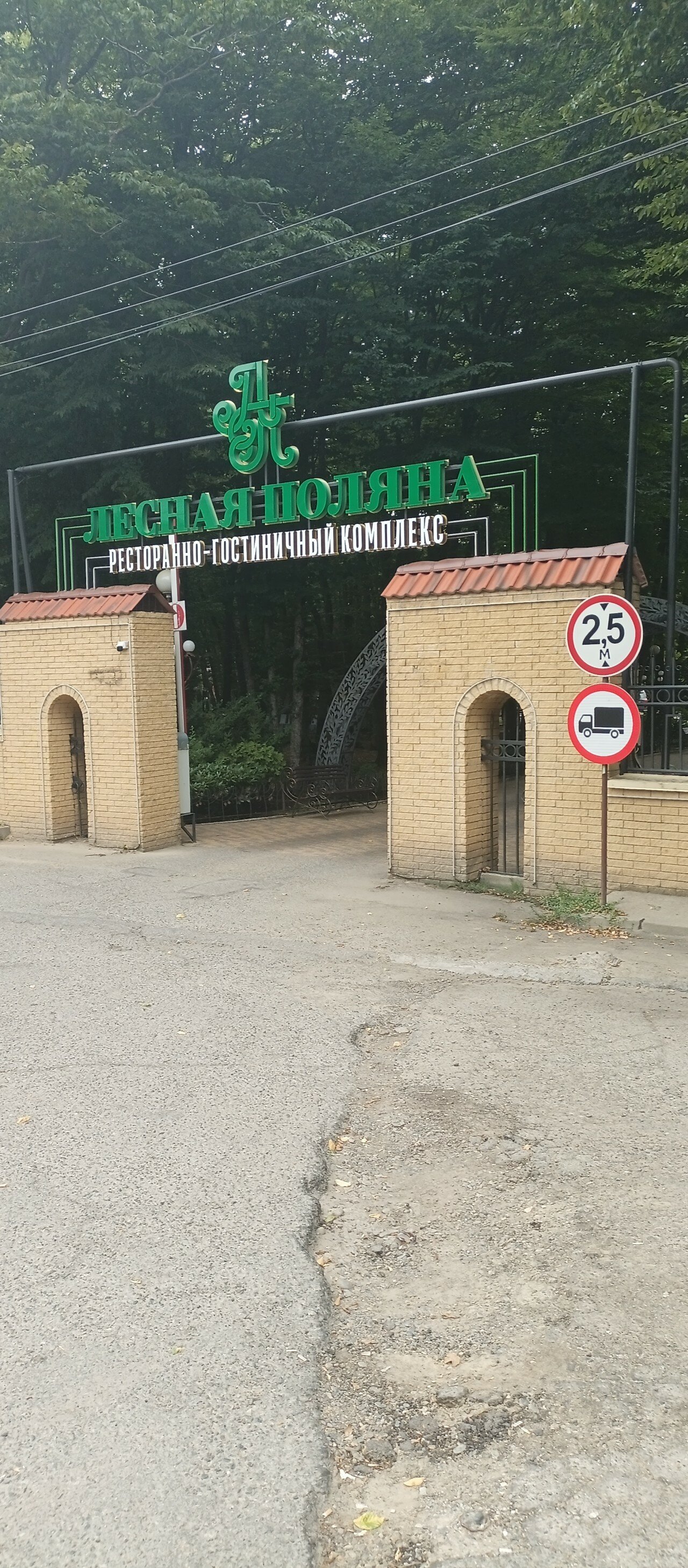 Фото Лесная поляна