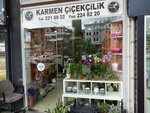 Karmen Floristry (Bursa, Osmangazi, Haşim İşcan Cad., 5G), flower shop