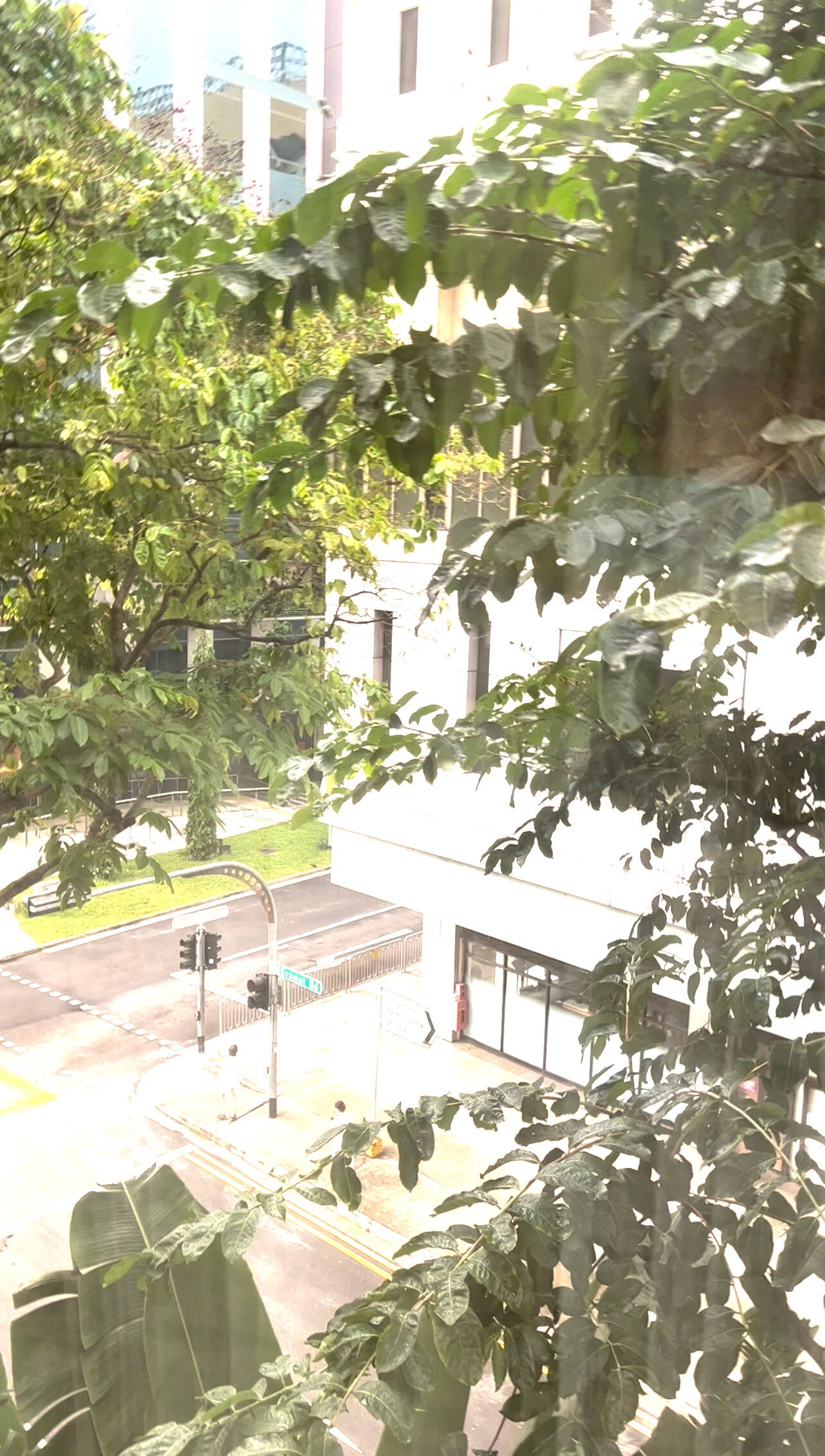 Фото Holiday Inn Singapore Orchard City Centre, an Ihg Hotel