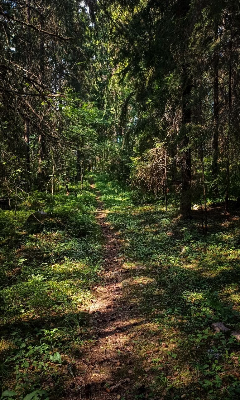 Фото Хуторок у Сан Саныча