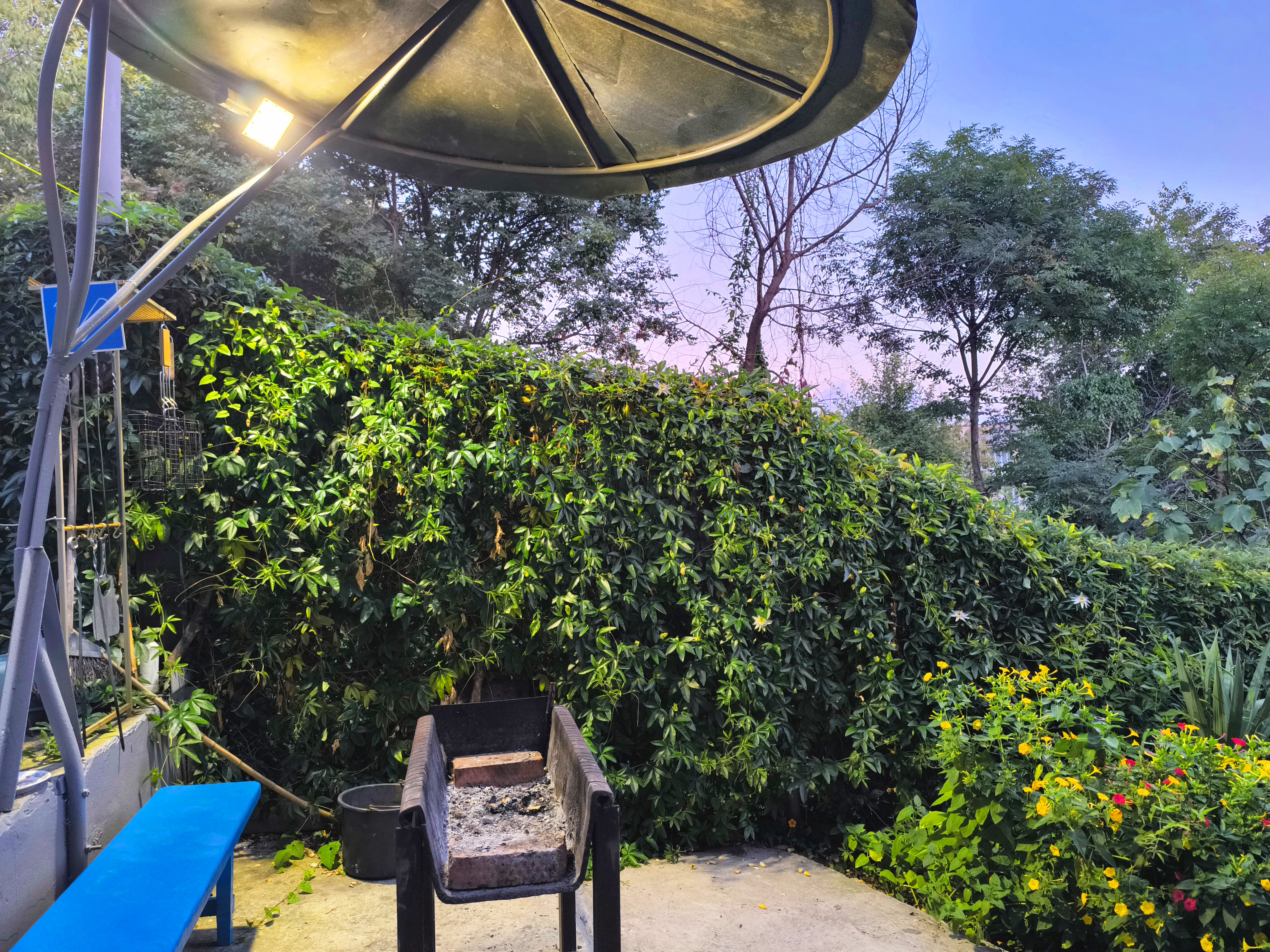 Фото У Кедра