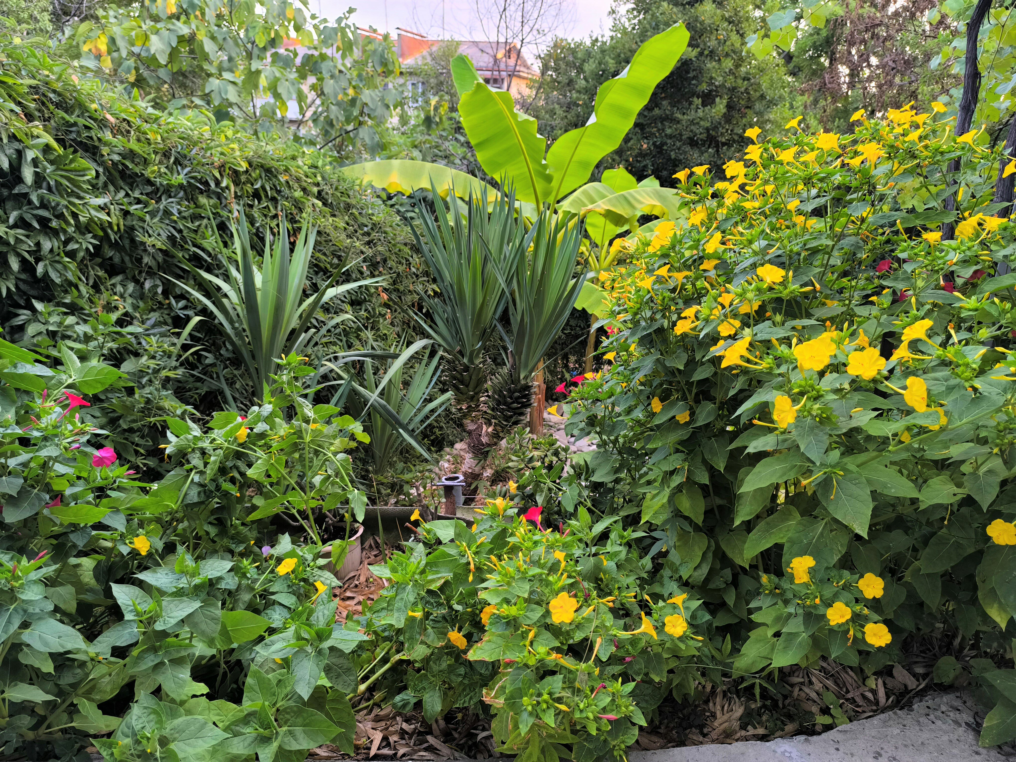 Фото У Кедра