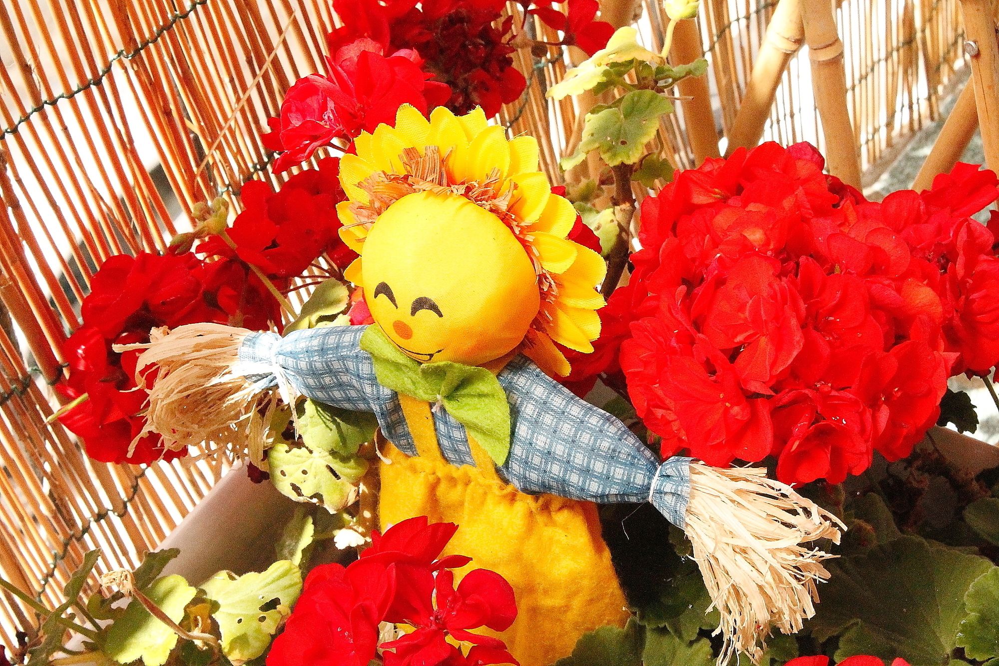 Фото Guest House Camilla