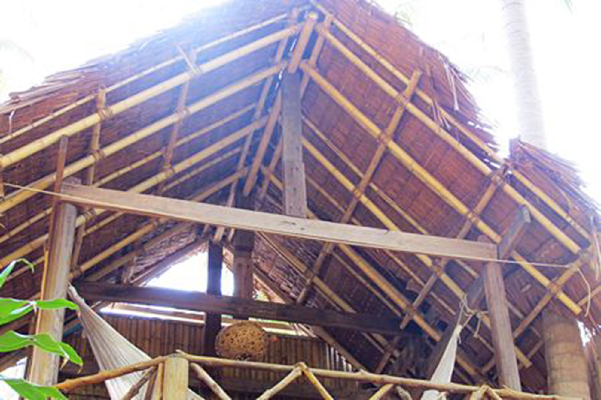 Фото Viking Nature Resort