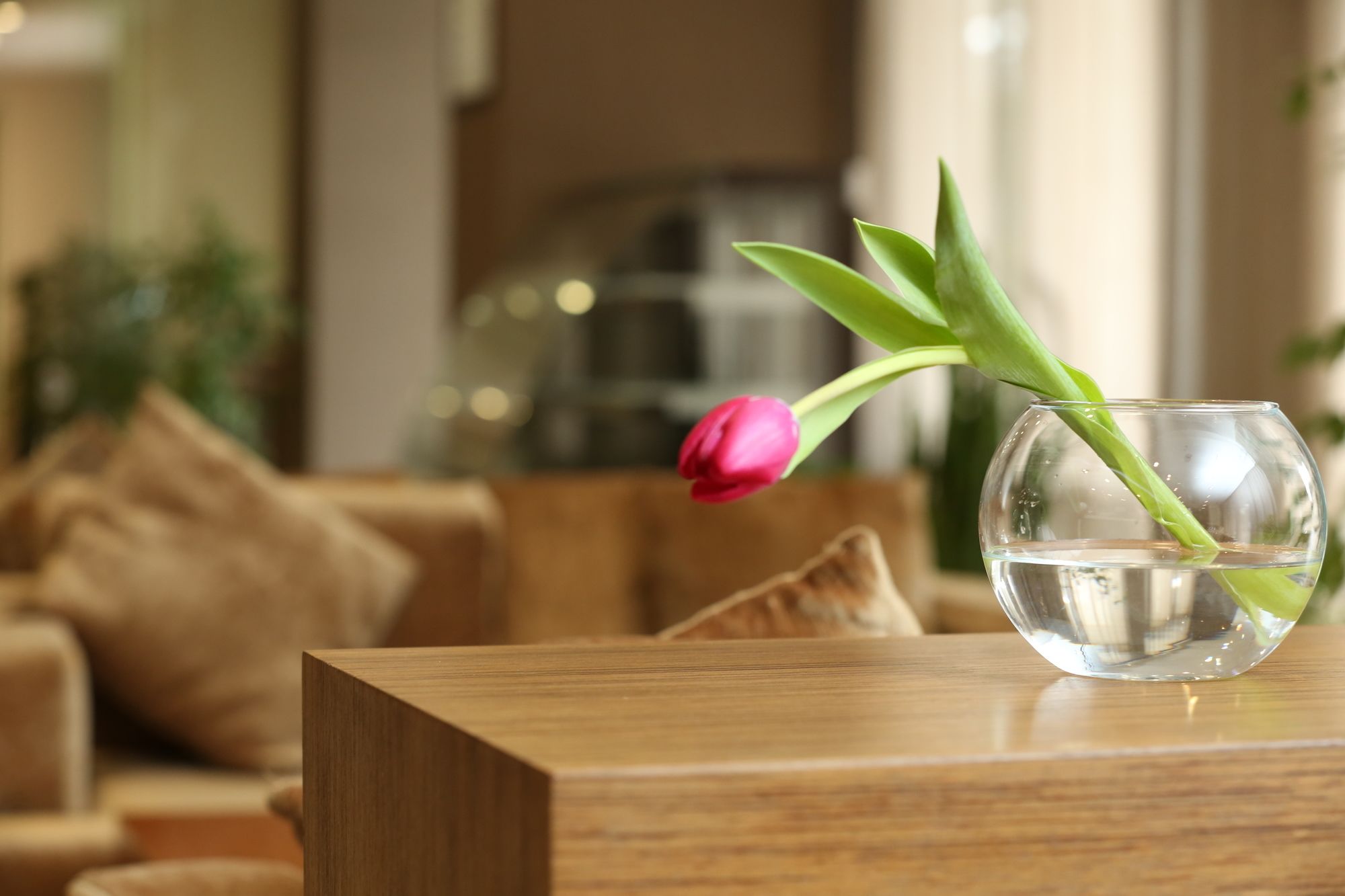 Фото Bishkek Boutique Hotel