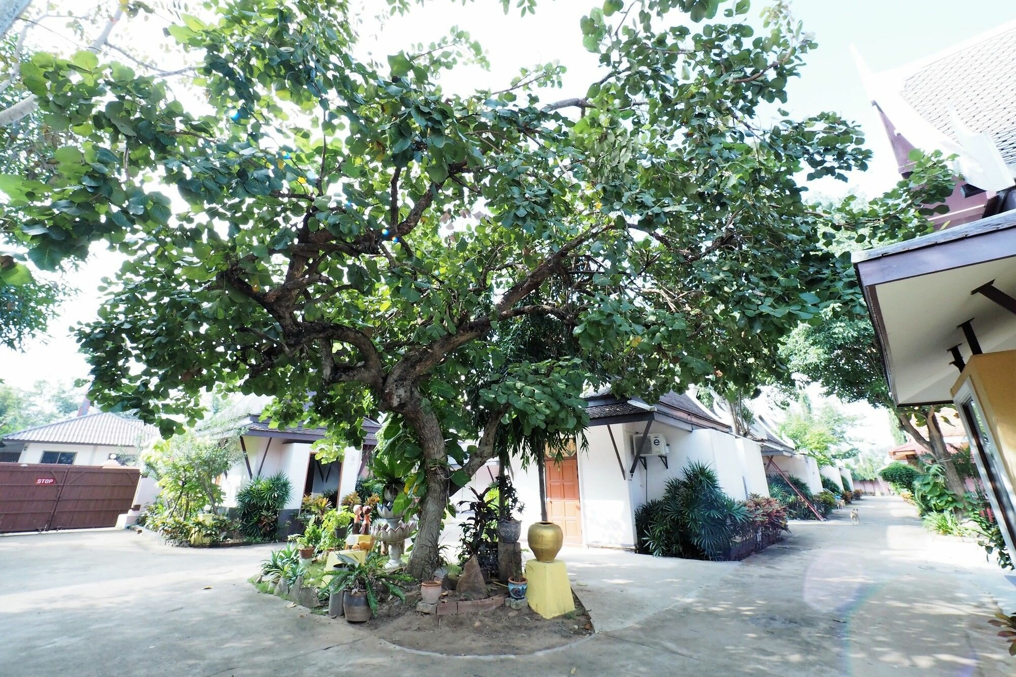 Фото Sweet Inn Resort