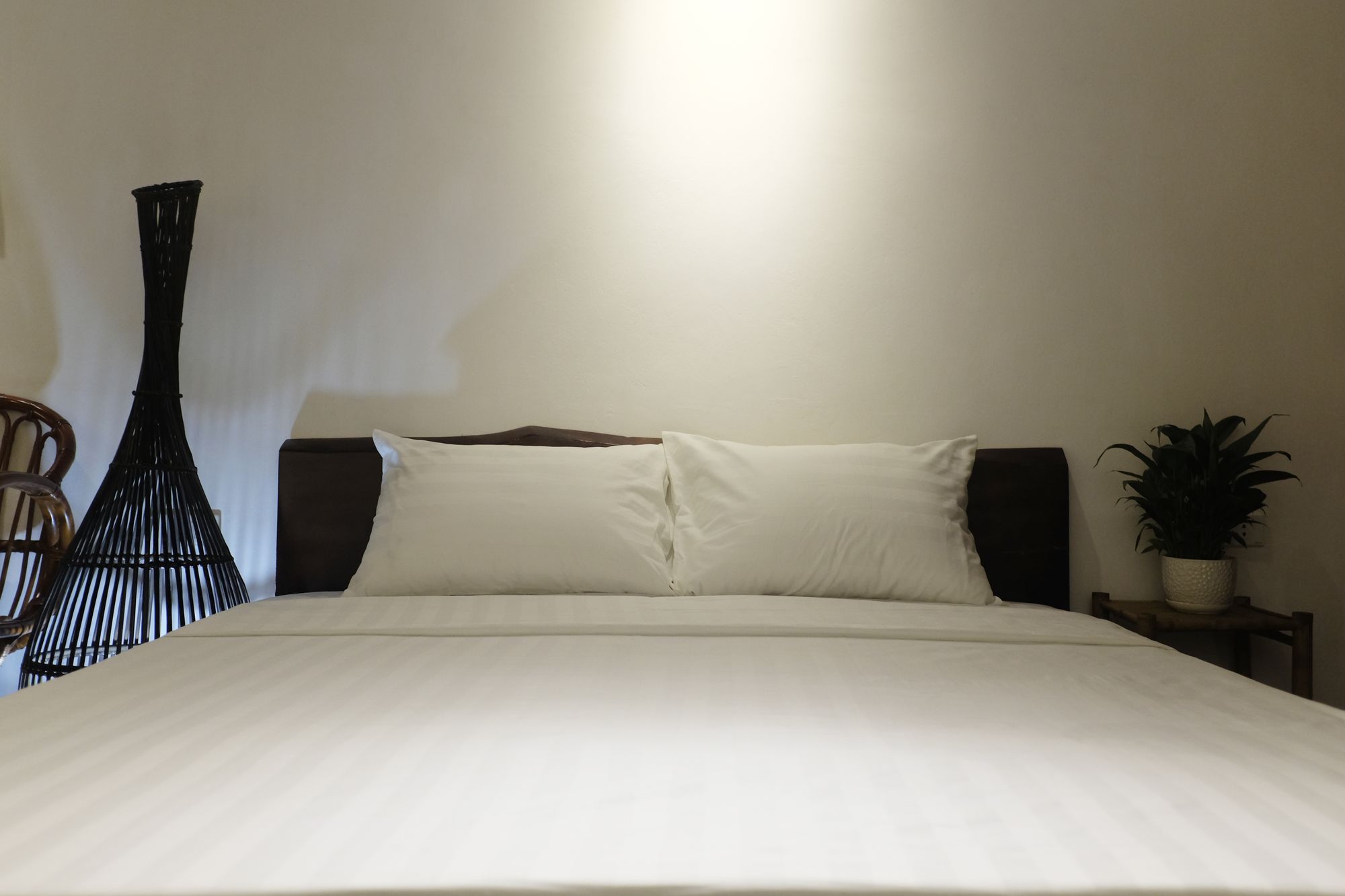 Фото A Green Home