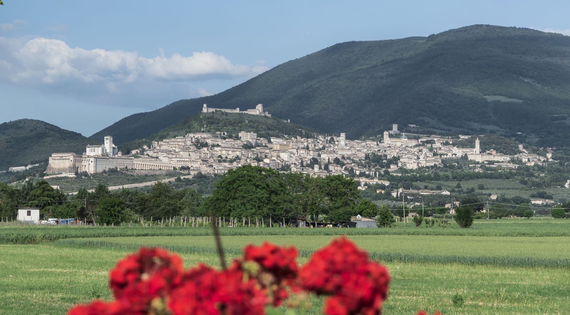 Фото Camere Mariella