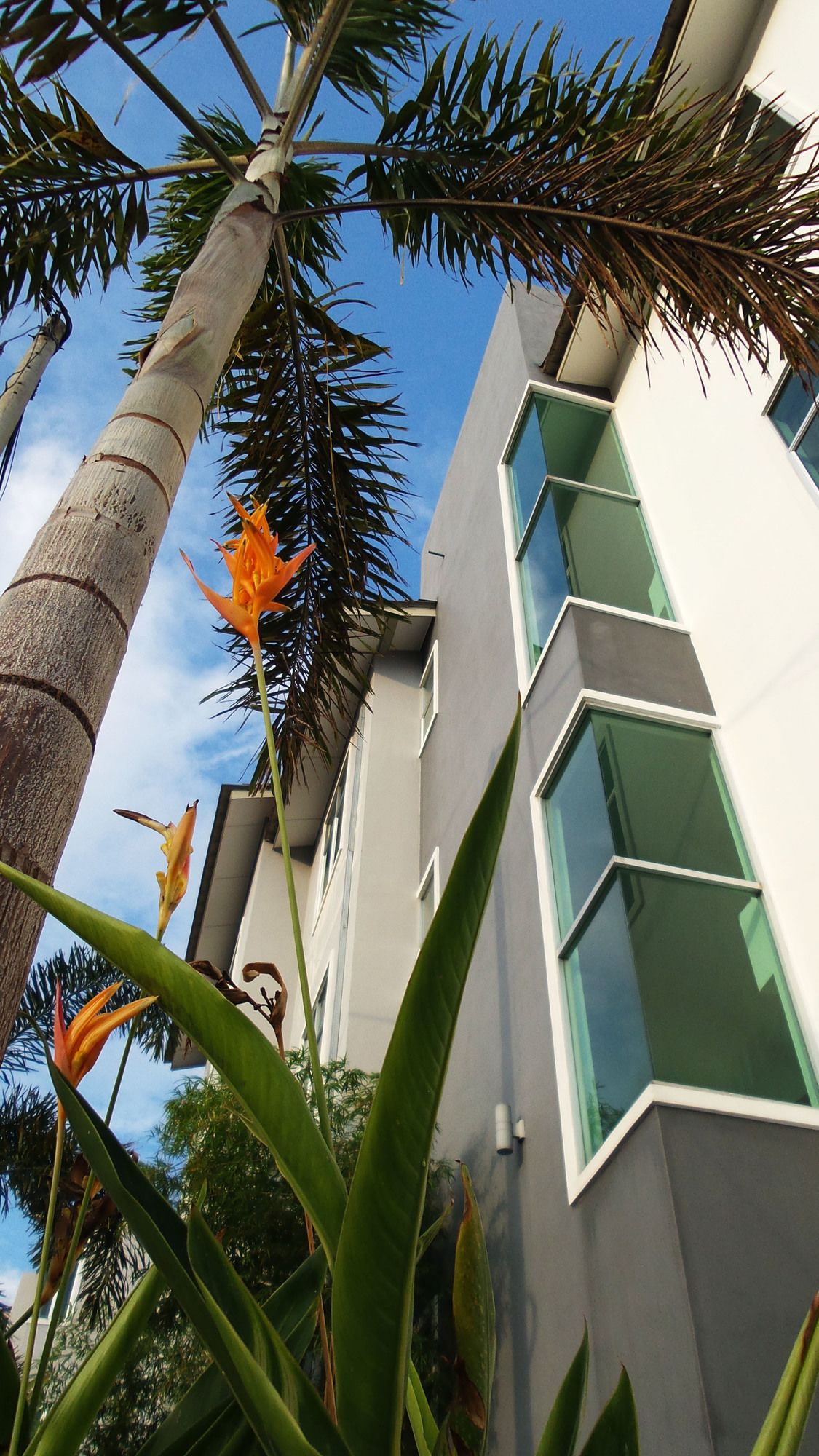 Фото Palm City Villa