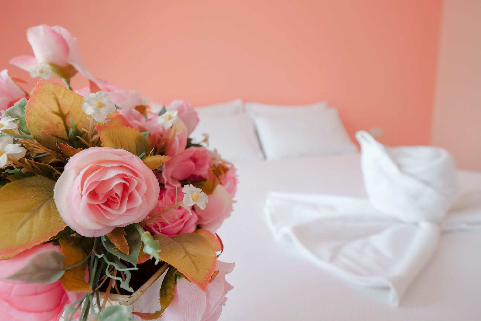 Фото Sea Sand Trees