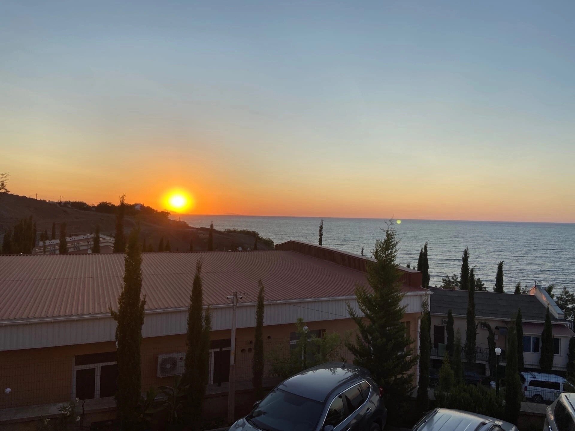 Фото Лаванда