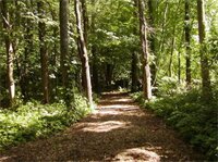 Фото The Inn on the Horse Farm