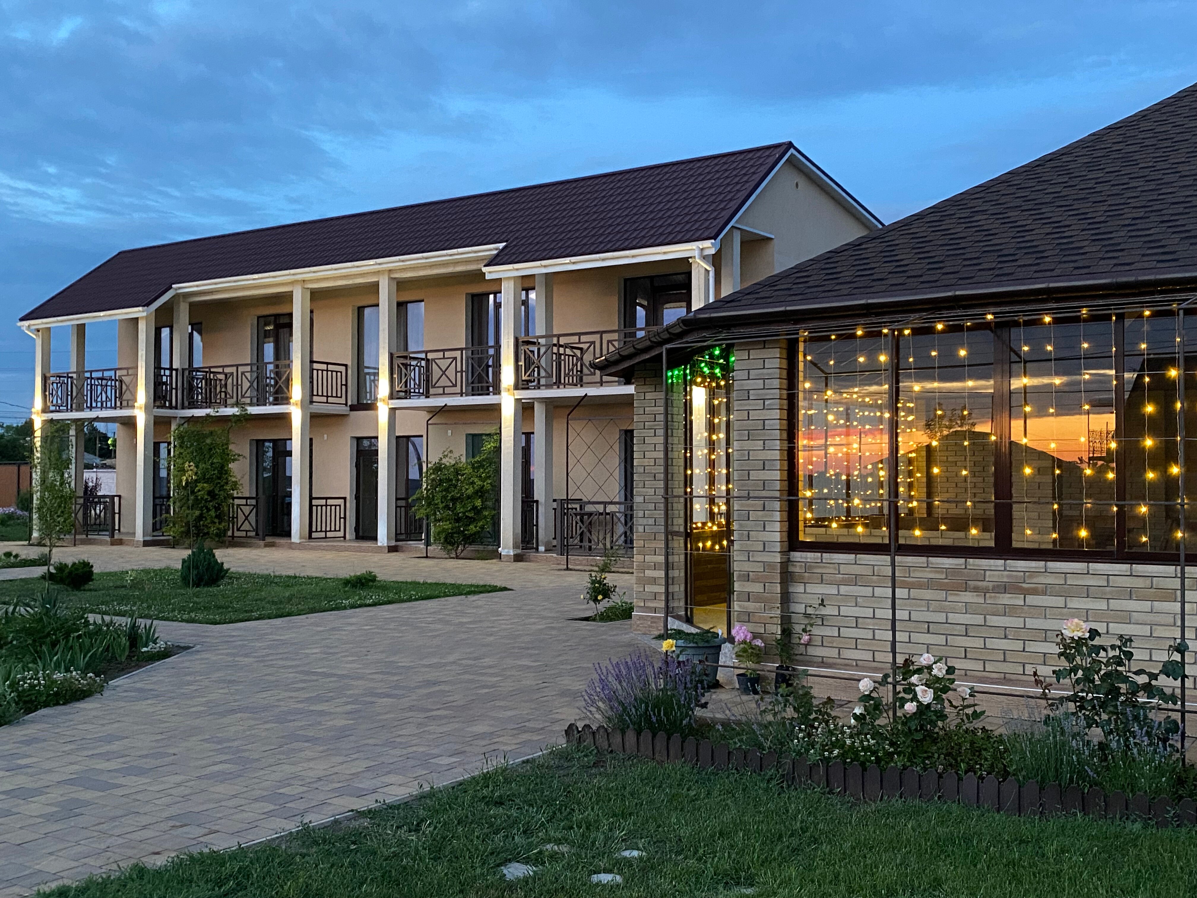 Фото Сантолина