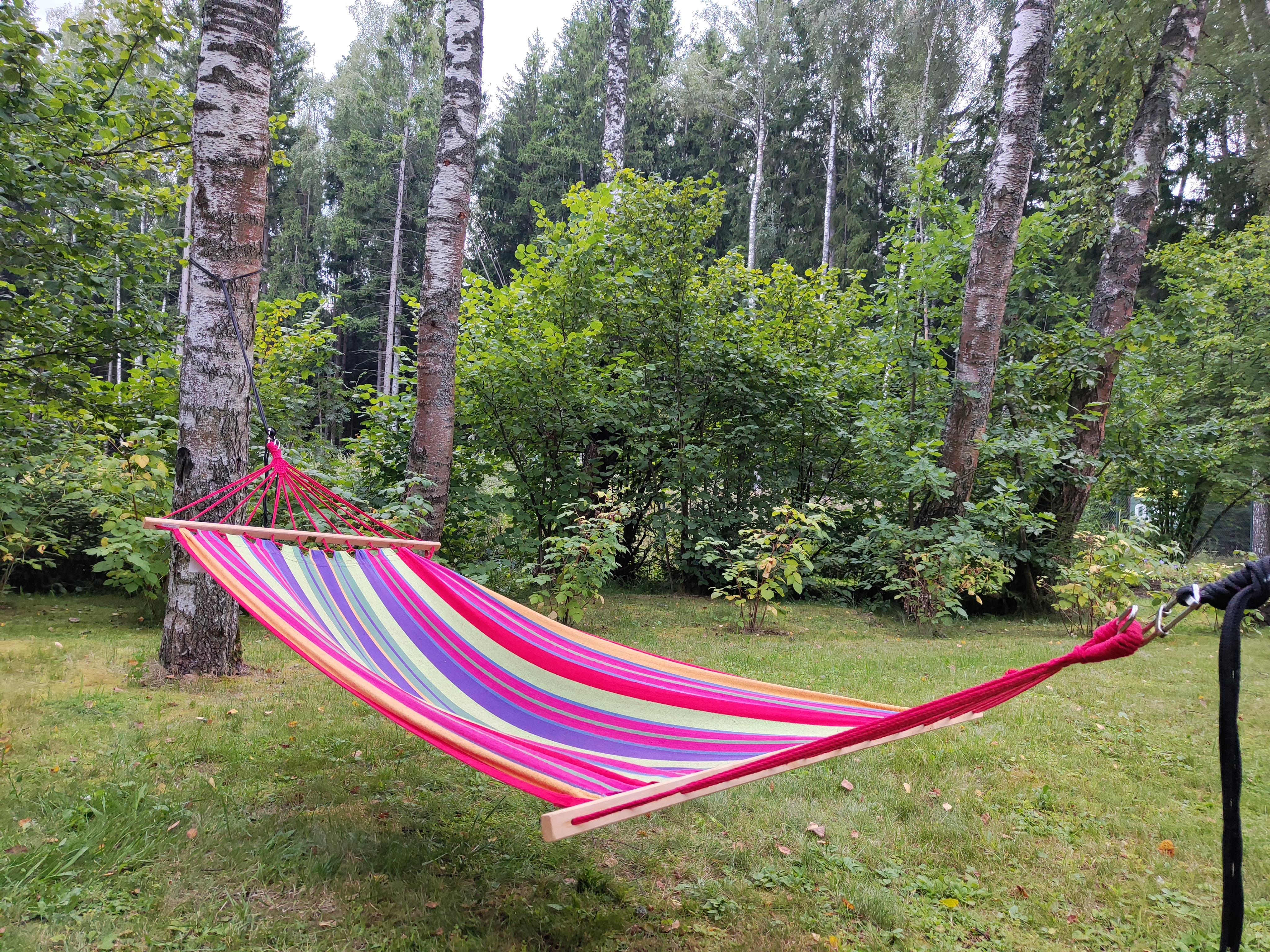 Фото Уютный домик в лесу у пруда