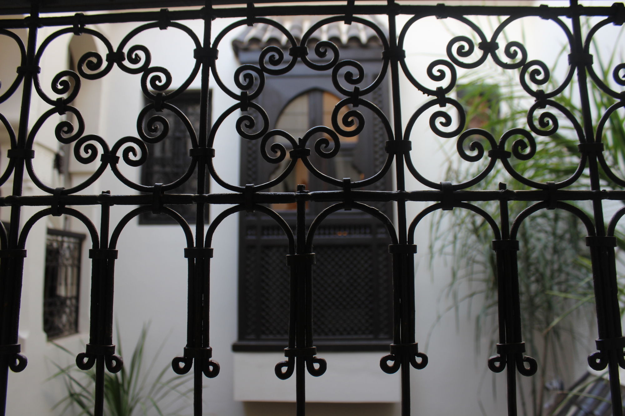 Фото Riad Reve D'or