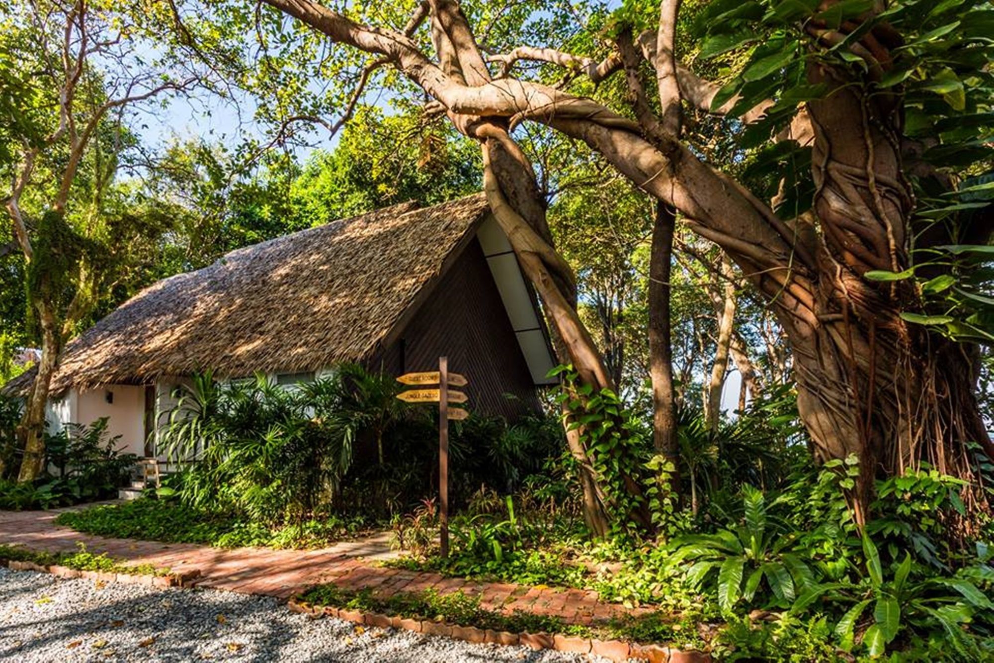 Фото The Monttra Pattaya