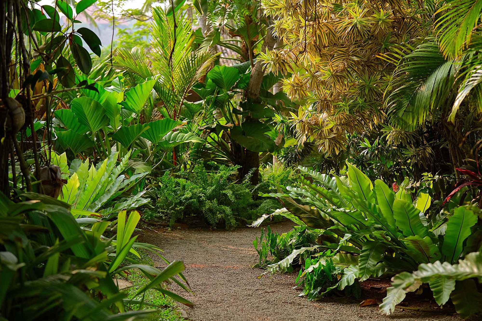 Фото Eraeliya Villas & Gardens