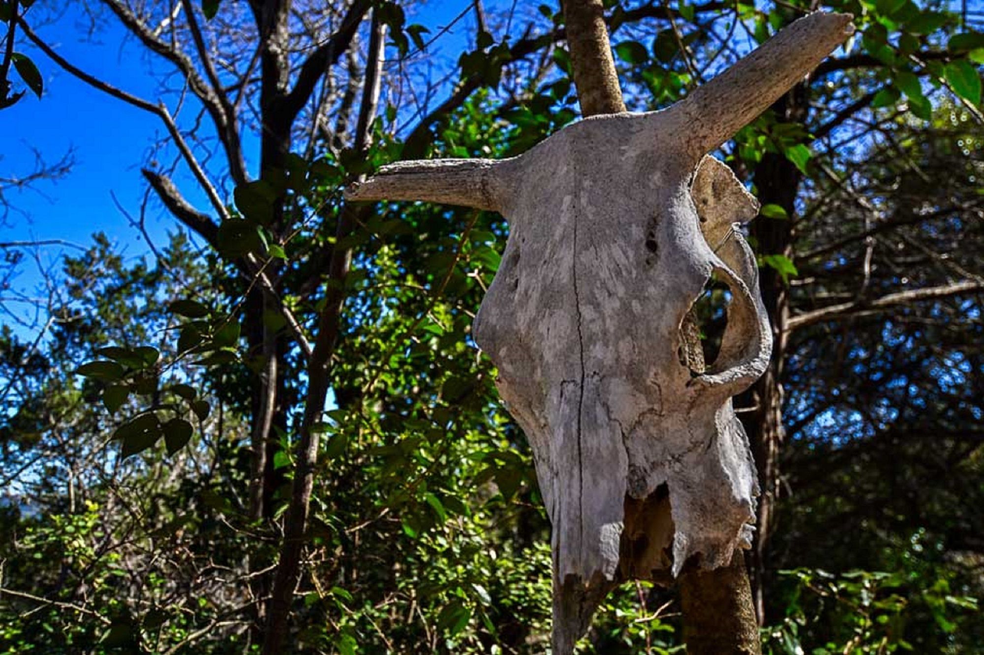 Фото Casa del Sol Bed and Breakfast