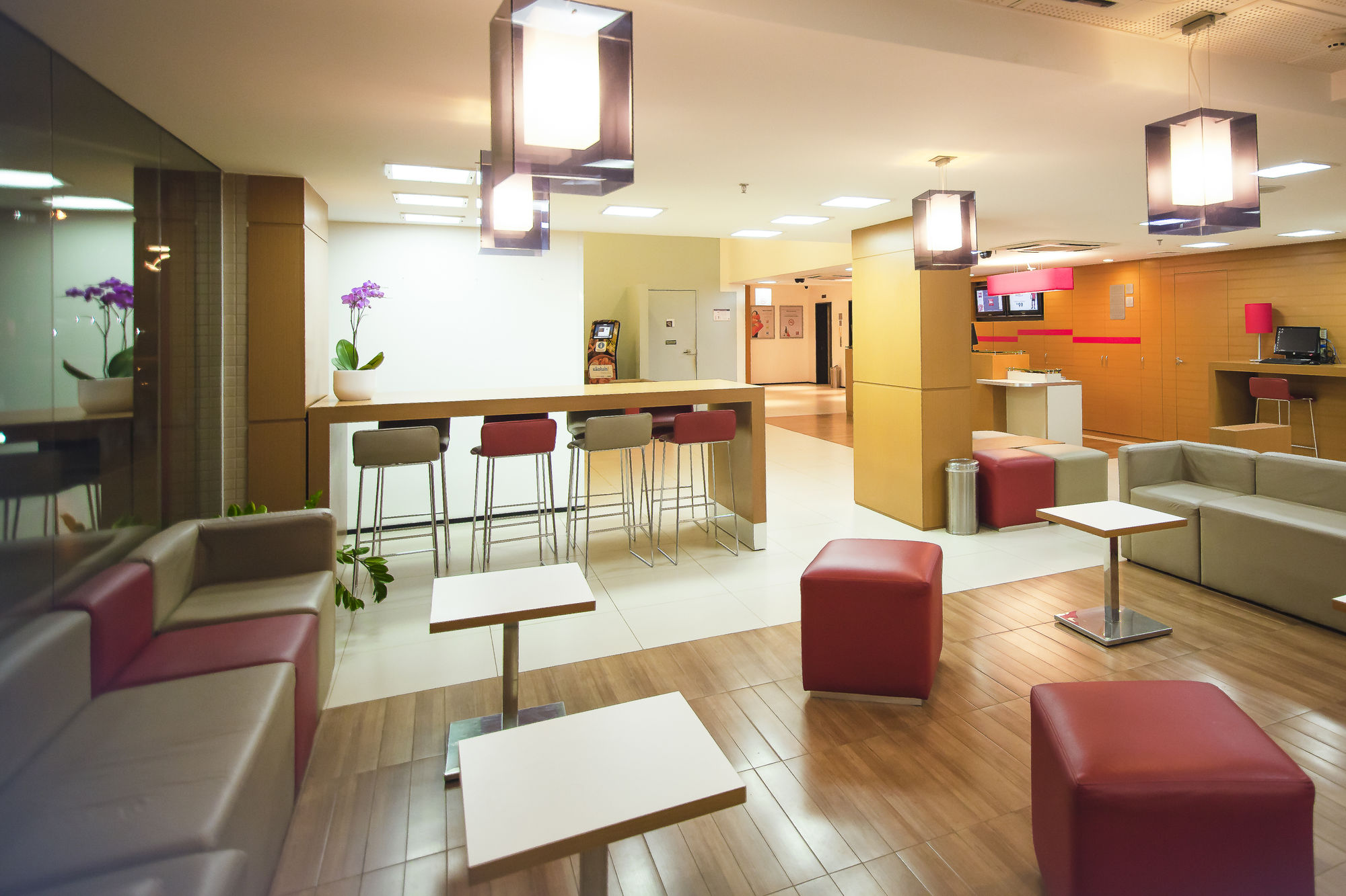 Фото Ibis São Luis