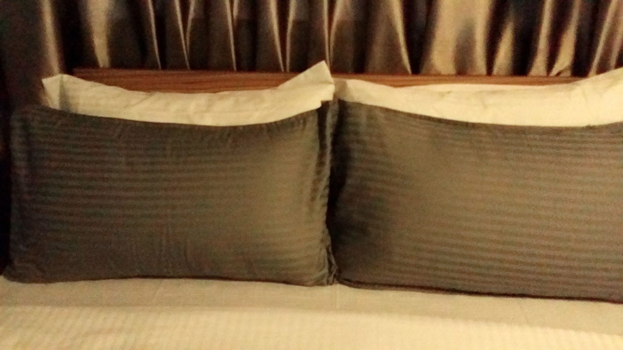 Фото 54971778990