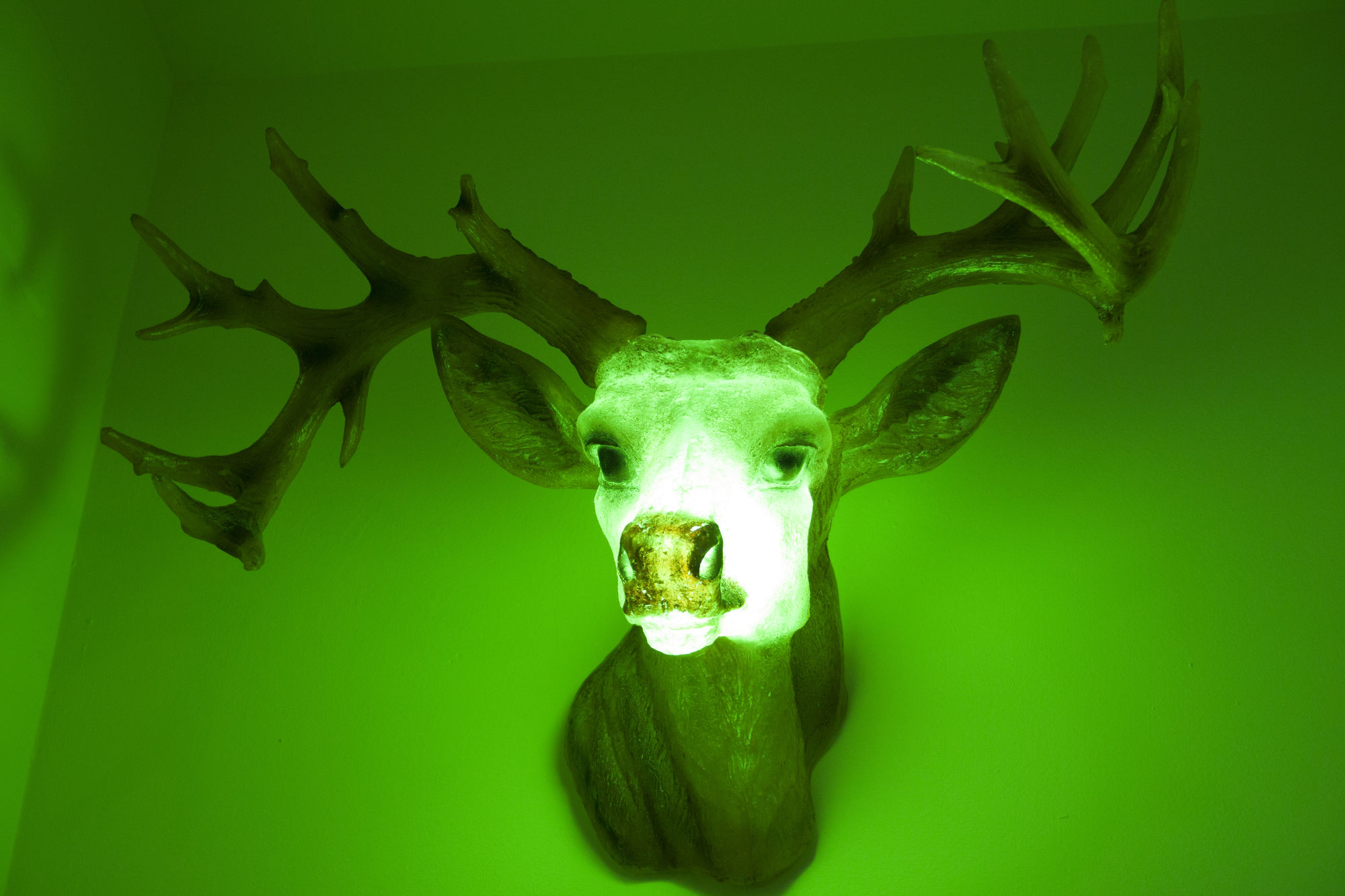 Фото Hotel Agorà