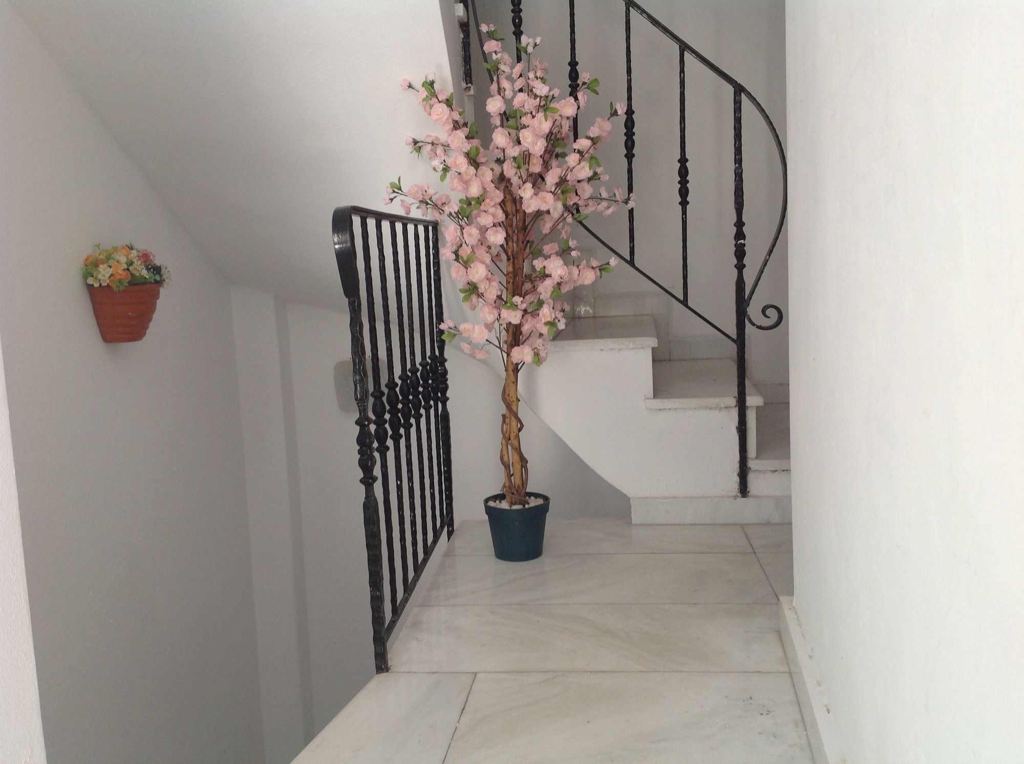 Фото Bouganville Apartments