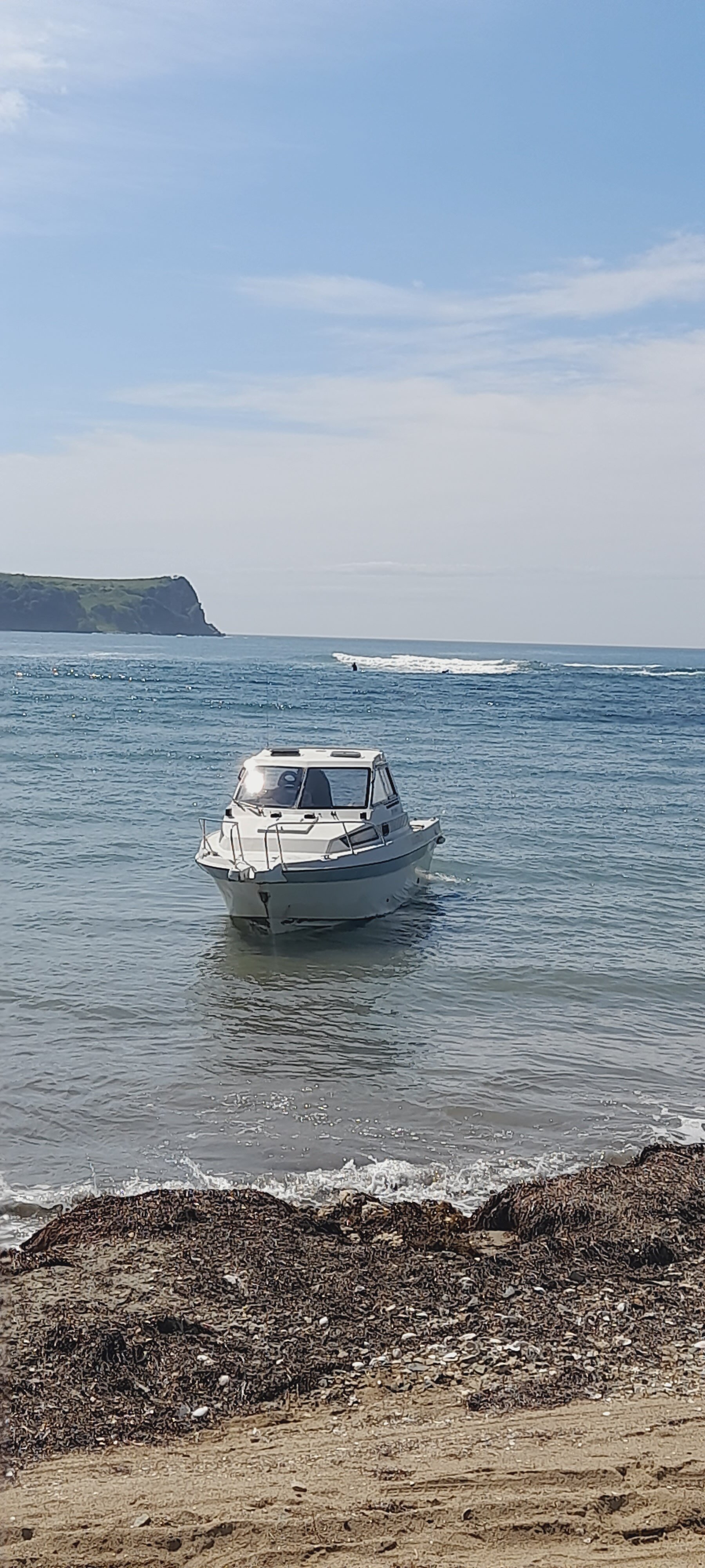 Фото Зелёная полянка