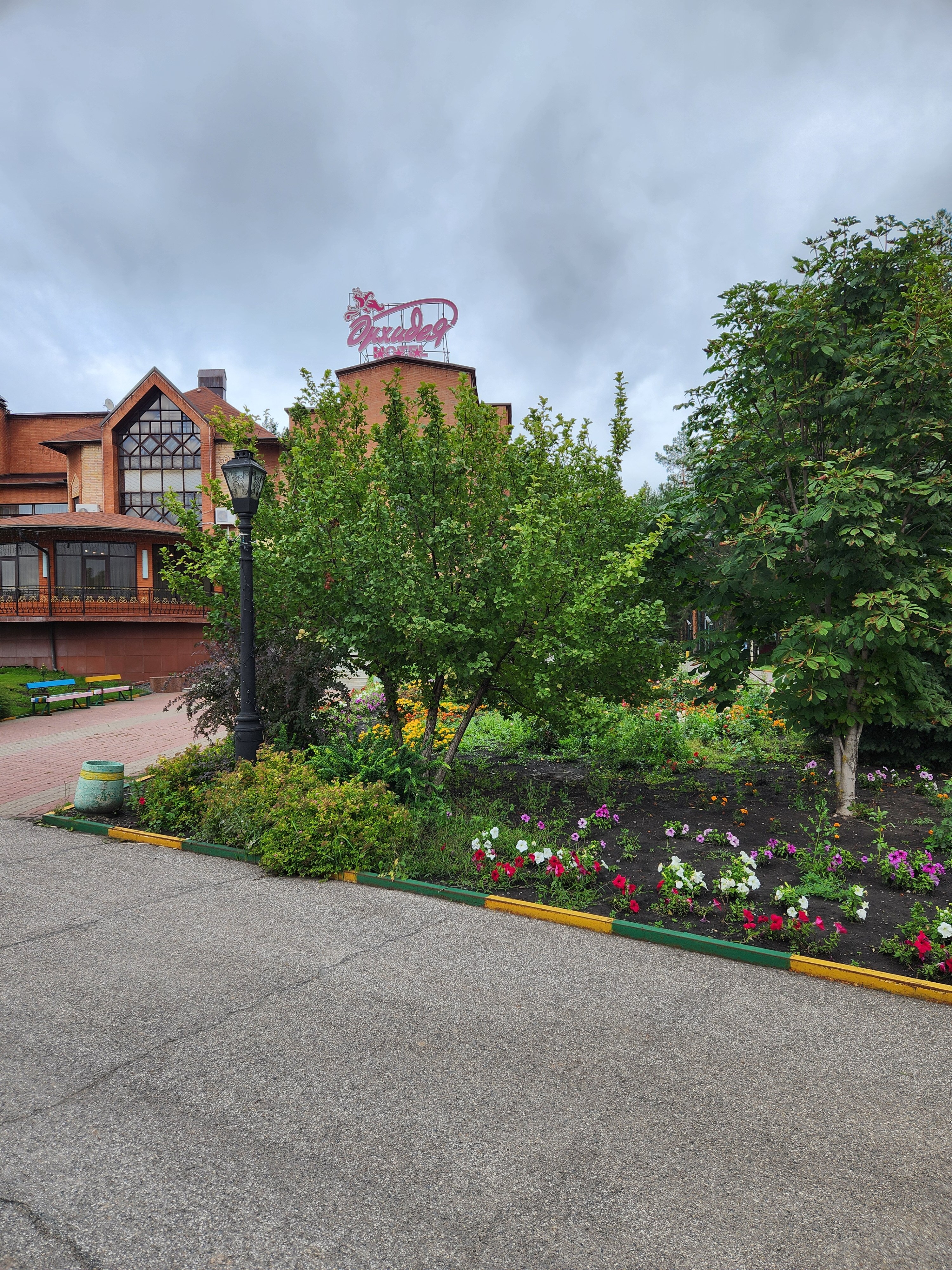 Фото Орхидея