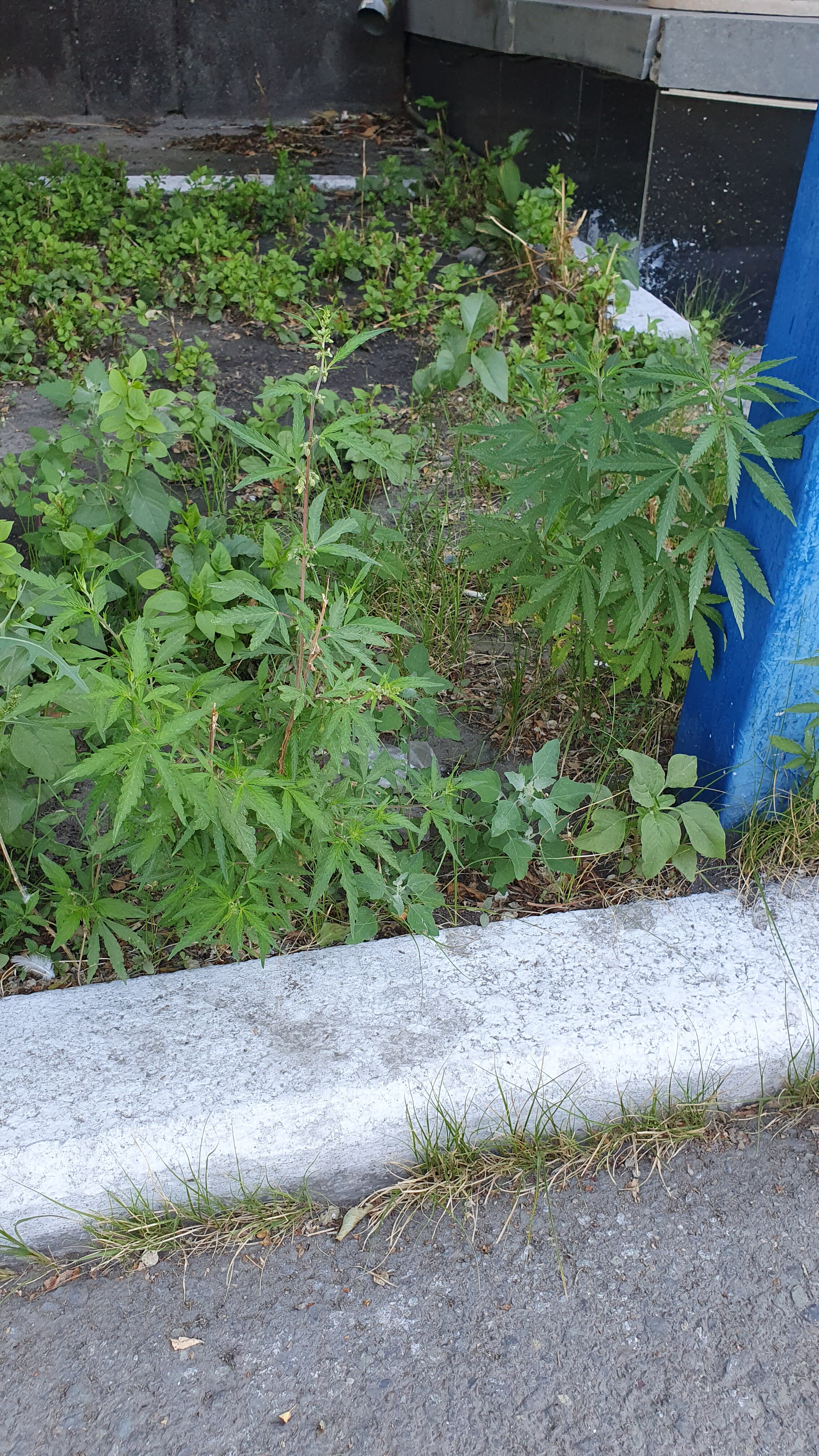 Фото Гостиница Семей