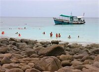 Фото Wind Beach Resort