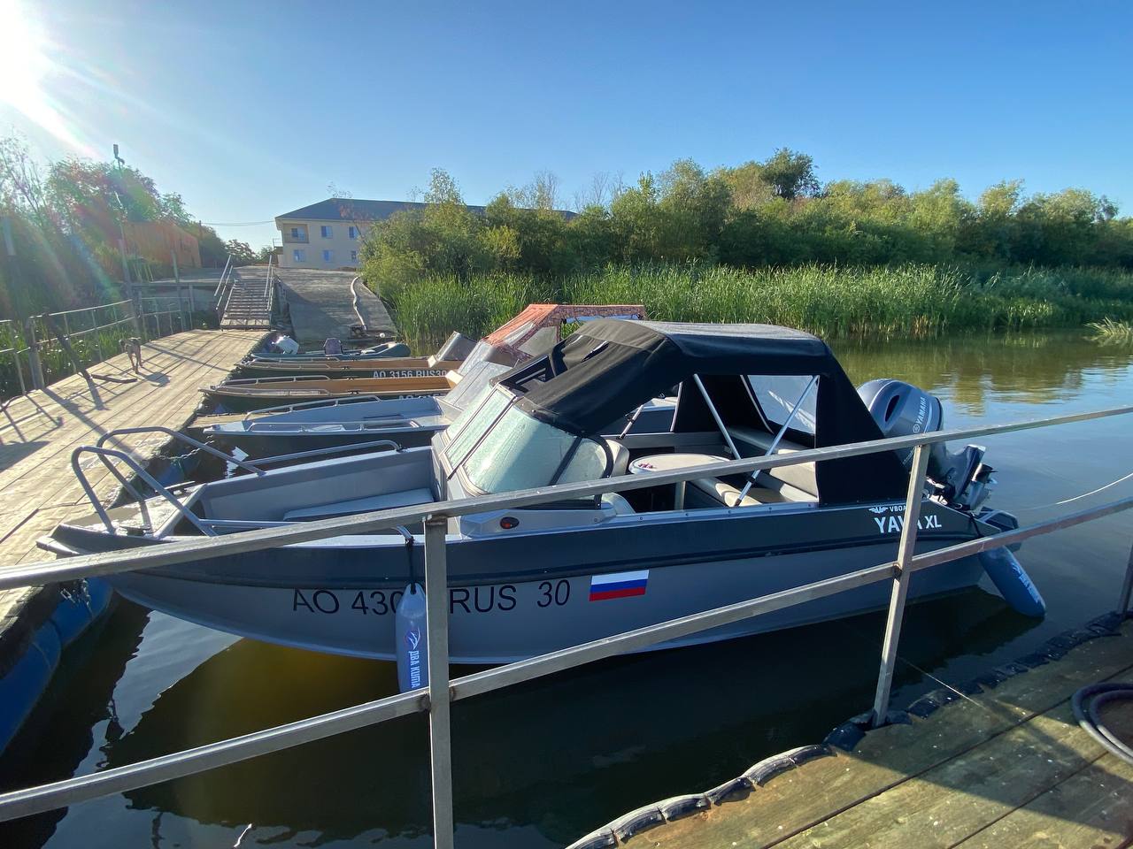 Фото Белый лев