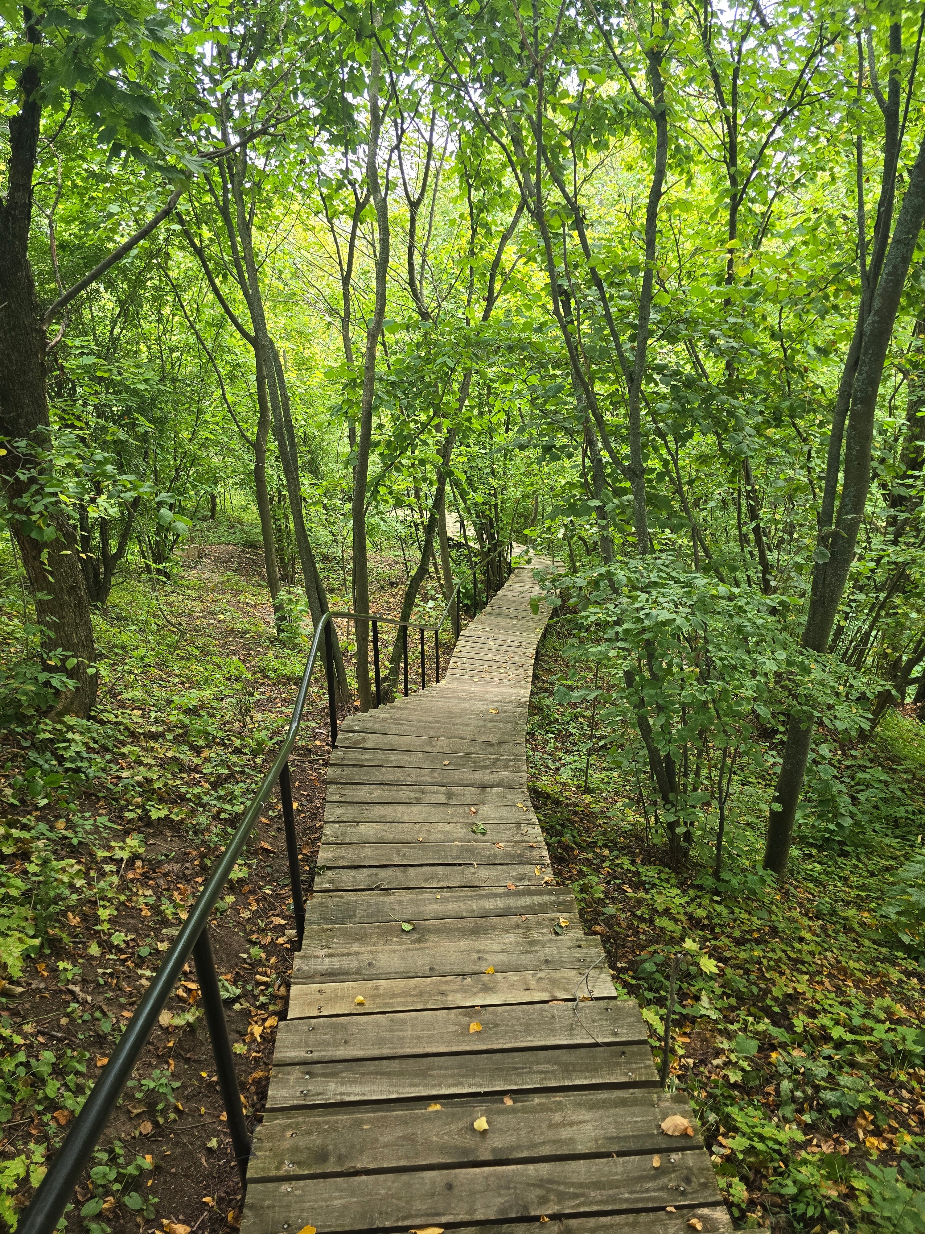 Фото Матерра