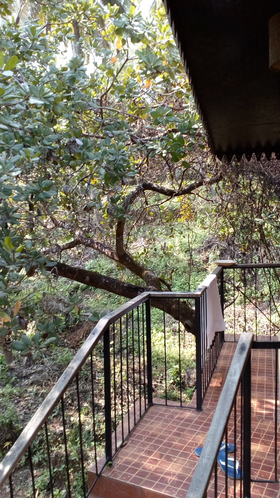 Фото Castle House Palolem